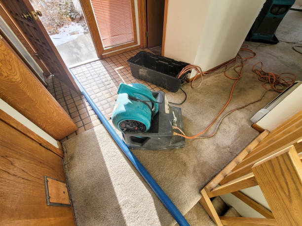  Quinlan, TX Water damage restoration Pros