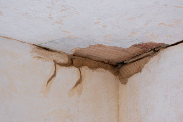 Best Mold removal after water damage  in Quinlan, TX
