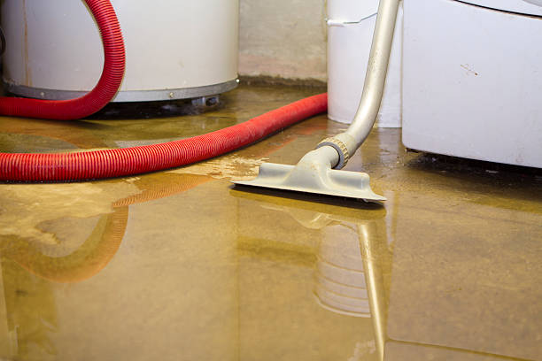 Best Ceiling water damage repair  in Quinlan, TX